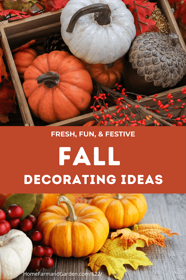 Fun Fall Decorating Ideas