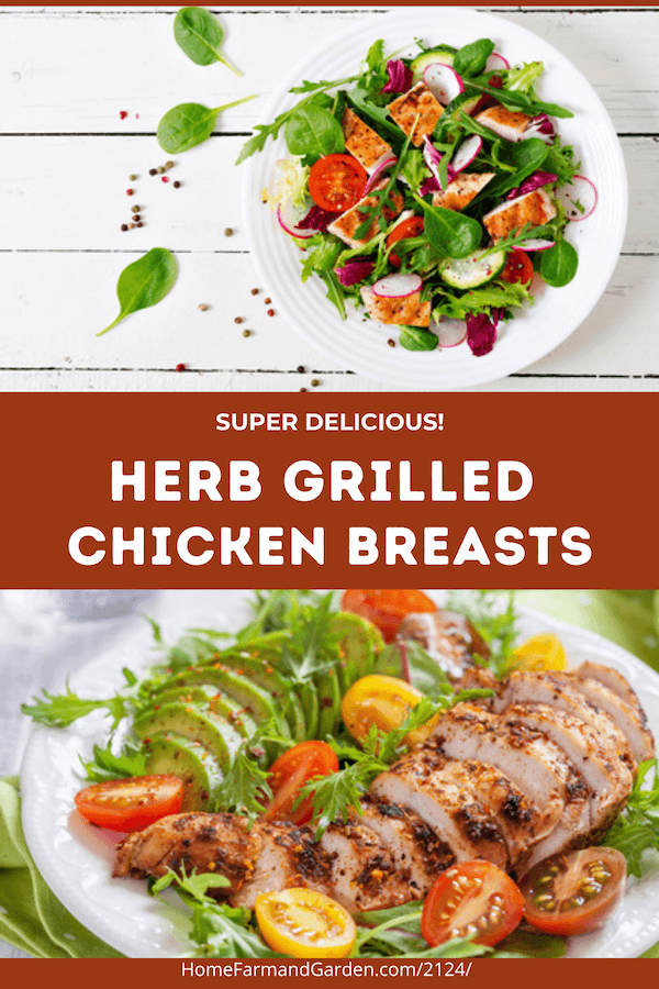 delicious herb grilled boneless skinless chicken breast recipe