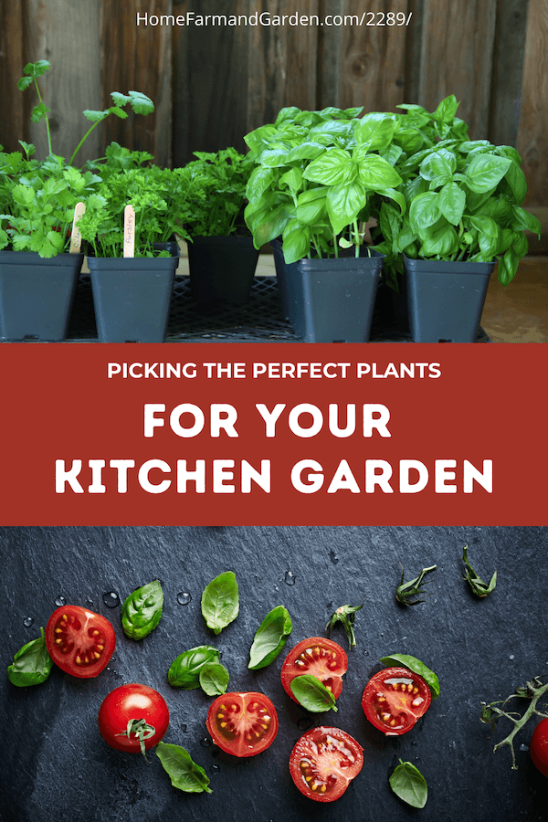 Choosing the Perfect Plants for your Kitchen Garden