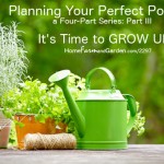 Helping Your Potager GROW UP!