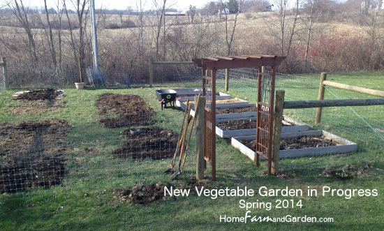 succession planting in the vegetable garden