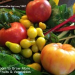 home grown garden fresh vegetables